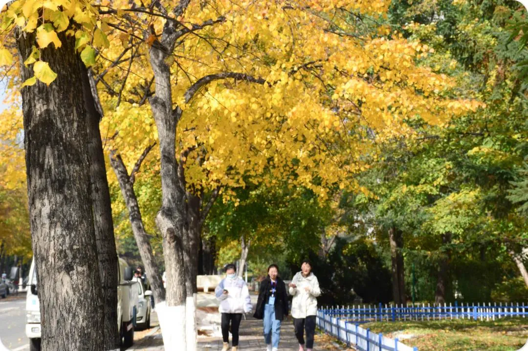 如何制定智能篮球训练计划_2